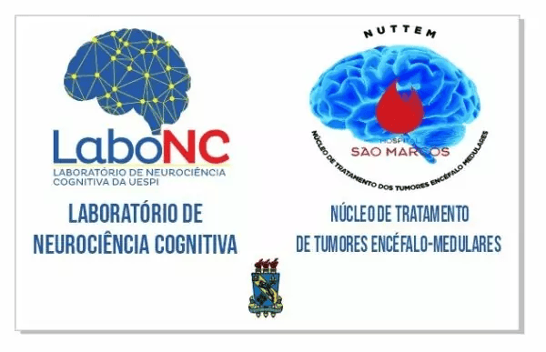 UESPI-TECH: Projeto de Protocolo de Avaliação Neuropsicológica em Neurocirurgias de Pacientes Acordados